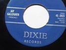  783 JAY GALLEGHER ORIGINAL MADE IN USA  DIXIE 2023 KILLER PIANO AND GUITAR VERY