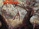Phlebotomized - Clouds Of Confussion  [VINYL]