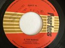 CONJUNTO AFRICA - El Tigre Rasurado - SALSA GUARACHA MEXICO 45