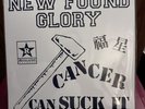 New Found Glory Make the Most of It Cancer Can Suck It Cover RARE 28/100