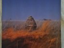 The maccabees given to the wild vinyl 2x lp 2012 uk