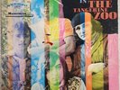 The Tangerine Zoo Outside Looking In Vinyl LP Record Mainstream Records 1968 DJ