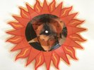 a-ha The Sun Always Shines On TV and Driftwood UK Picture Disc Record RARE