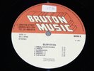 BRUTON MUSIC LIBRARY Survival LP  ELECTRONIC/JAZZ John Cameron Jean Bouchety
