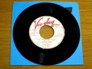 PROMO BLUES 45 RPM - ELMORE JAMES - VEE-JAY 259 - 