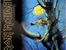 IRON MAIDEN- Fear of The Dark 2-LP (NEW 2017 Remastered EU Vinyl) Metal 1992