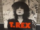 T. REX  THE SLIDER Vinyl lp 1st press  BLN 5001 EX / VG+ marc bolan