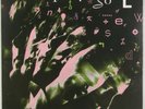 THE PLIMSOULS: Everywhere at Once US Geffen Alternative Rock LP NM Vinyl