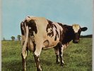 PINK FLOYD: Atom Heart Mother US Harvest Rock LP NM- Vinyl