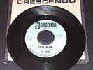 45 rpm psych garage THE SEEDS Pushin too Hard/Try to Understand GNP Sky Saxon E+