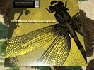 COHEED & And CAMBRIA Second Stage Turbine Equal Vision Yellow Presale Vinyl LP