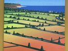 Lemon Jelly Lost Horizons LP Vinyl