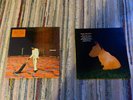 Arctic Monkeys Rare Vinyl - Tranquility Base / Dreamer