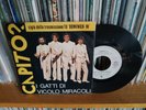 I gatti di Vicolo Miracoli - Capito? Vinile, 45 giri WB Sigla Domenica In (1978)