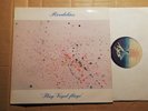 ROEDELIUS - FLIEG' VOGEL FLIEGE - LP - SKY 078 - GERMANY  1982
