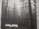 THE CURE A Forest FICTION ORIGINAL 1980 UK 1ST PRESSING VINYL 12
