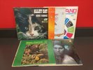 Bent Fabric/Paul Mauriat/Ray Anthony/Walter Wanderley/Steel Band Record lot