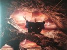 Sven Väth – Catharsis - Cocoon - Gregor Tresher - Electro Techno Album 3x Vinyl
