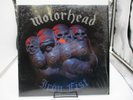 Motorhead 