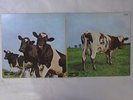 Pink Floyd Atom Heart Mother Odeon OP-80102 Japan  VINYL LP