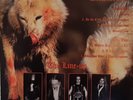 LP Dissection - Night's  Blood - Live Oslo 1994 Llmt. Ausgabe - 273 von 500
