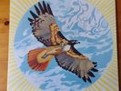 ELKHORN-ON THE WHOLE UNIVERSE IN ALL DIRECTIONS LTD BLUE VINYL 108 ONLY NEW