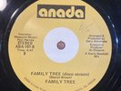 Skye / Family Tree – Aint No Need (Dance) / Family Tree (Disco Version) 12” Rare