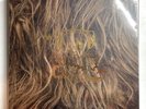 SUPER FURRY ANIMALS - SFA AT THE BBC * 4 x VINYL LP * LTD STR044LP * FREE P&P UK