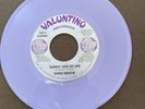 GINO DENTIE-SUNNY SIDE OF LIFE-PROMO 45-SCARCE -PURPLE VINYL-VG TO VG+-VALUNTINO