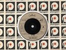 New York Dolls 7