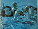 AIRTO MOREIRA - SEEDS ON THE GROUND-THE NATURAL SOUNDS OF AIRTO -BUDDAH BDS 5085