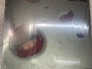 Death Grips - Year Of The Snitch GREEN Vinyl LP SUPER RARE