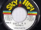 FIRE FACTS 45 Earth In A Turmoil VG+ on Sky High JA reggae dub  c5334
