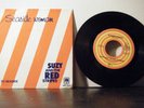 SUZY and THE RED STRIPES Linda McCartney 7 Inch 45 Seaside Woman 1977 german PS