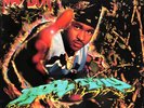 Mad Lion - Real Ting (LP, Album) (1995) (Vinyl) {AM}