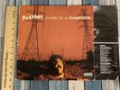 REDMAN Dare Iz A Darkside 12