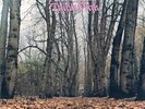 Twink - Think Pink - Clear Pink Vinyl [New Vinyl LP] Clear Vinyl, Pink, UK - Imp