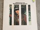 DAVID ALLEN COE PENITENTARY BLUES 12