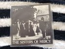THE SISTERS OF MERCY THE DAMAGE MR 7 PUNK WAVE GOTHIC