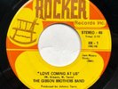 The Gibson Brothers Band 