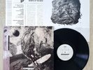 David Sylvian Secrets Of The Beehive LP 1987 Orig Japan VJL-28005 w/ Obi, Insert