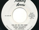 GLORIA WALKER & CHEVELLES - You Hit The Spot Baby -FLAMING ARROW- 60s Soul 45