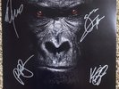 EXTREME SIX  Signed RED/BLACK marble VINYL record autographed album