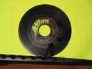 VHTF GARAGE 45 The Novas Parrot 45005V The Crusher / Take 7