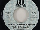 Shirley & The Shirelles 