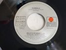MALDITA VECINDAD Y LOS HIJOS DEL QUINTO PATIO MEXICAN  45 Pachuco / Kumbala 1991