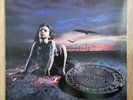 [NM] Steelheart - Tangled In Reins (1992 Korea LP Rare 8 Tracks Vinyl)