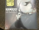 Ice Cube - The Predator - New Vinyl Record LP