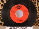 Doo Wop 45 THE SMOOTH-TONES Crazy Baby / Dear Diary EMBER NM