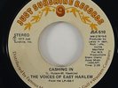 Voices Of East Harlem 